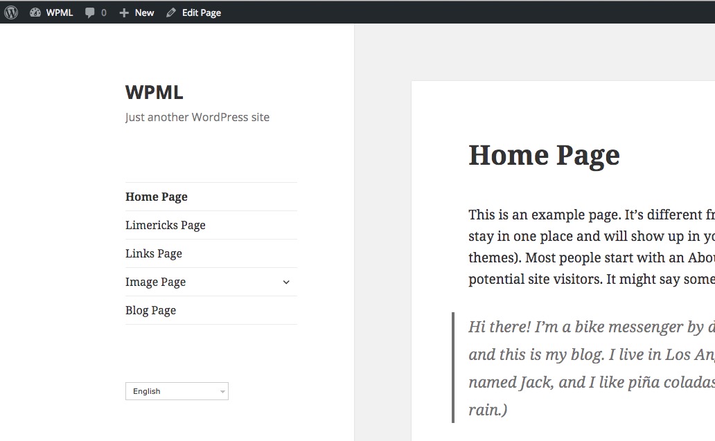 Example Backend WPML