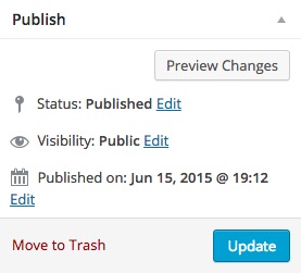 Publish / Update Button